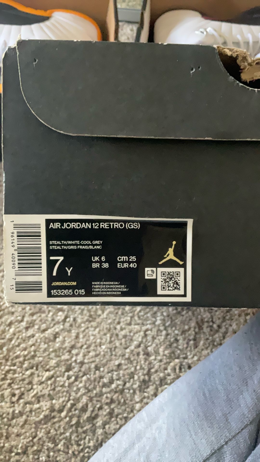 Air Jordan 12 Retro