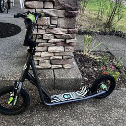 Expo Kick Scooter, 