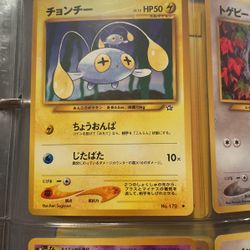 Japanese Chinchou No.170