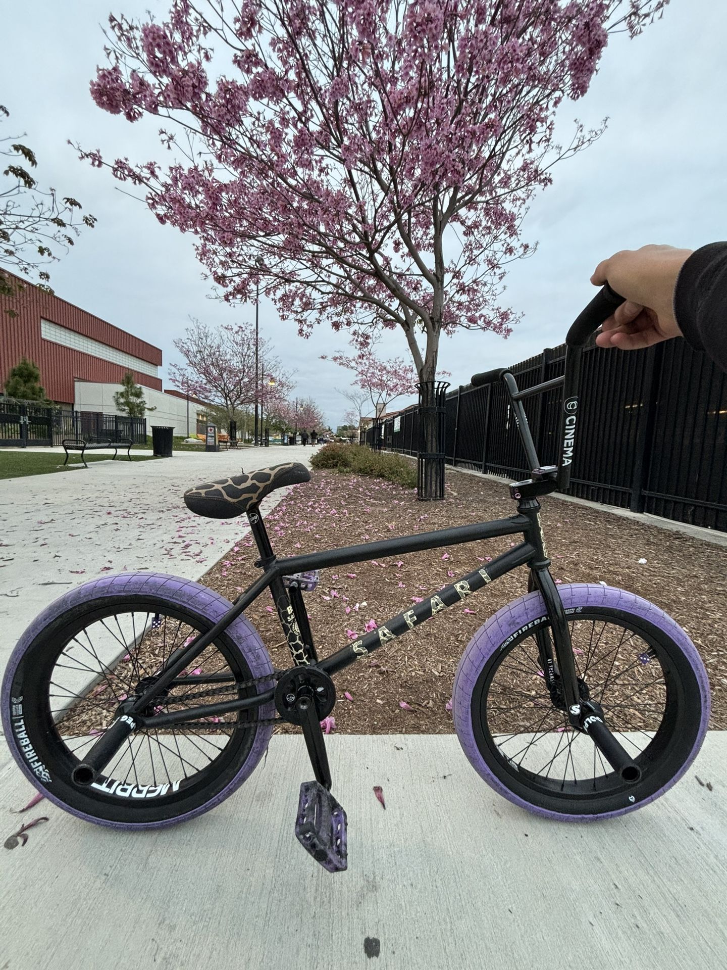 Custom Bmx Bike
