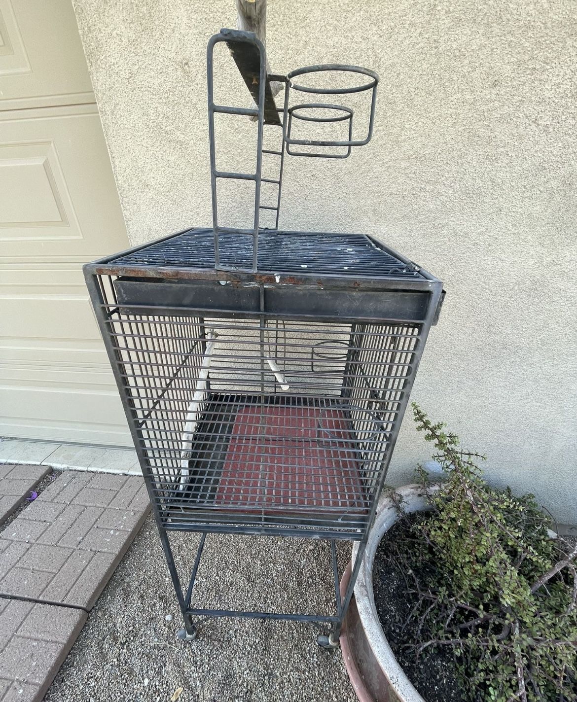 Bird Cage
