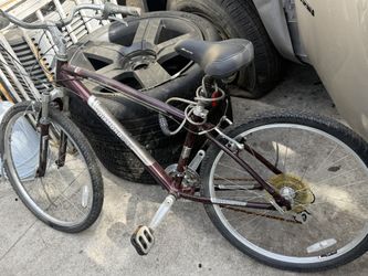 Beach Cruiser