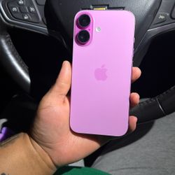 iPhone 16 Purple 