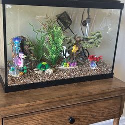 20 Gallon Fish Tank Aquarium