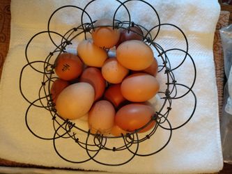 Egg Basket ANTIQUE French