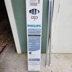 Free Bulbs