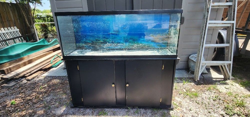 55 Gallon Fish Tank With The Stand