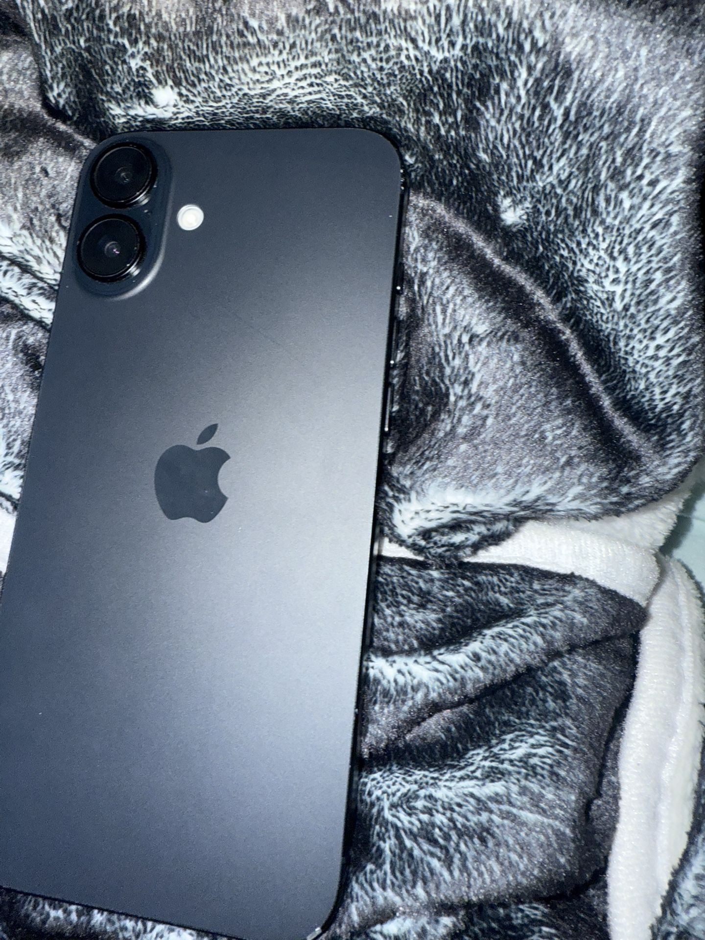 iPhone 16 Plus