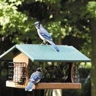Wild Birds Unlimited EcoTough Ranchette Retreat Feeder - Great Condition & Restored! 