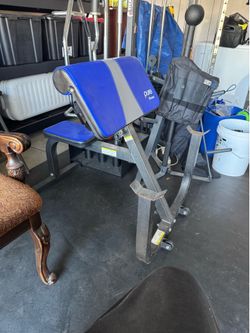 Preacher curl