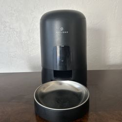 Automatic Cat Feeder