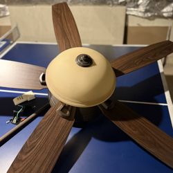 Hunter Ceiling Fan