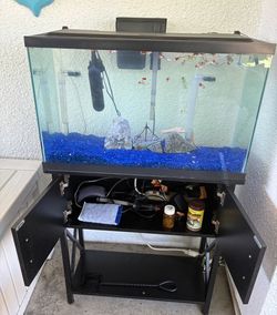 Fish Aquariums & Accessories & Supplies