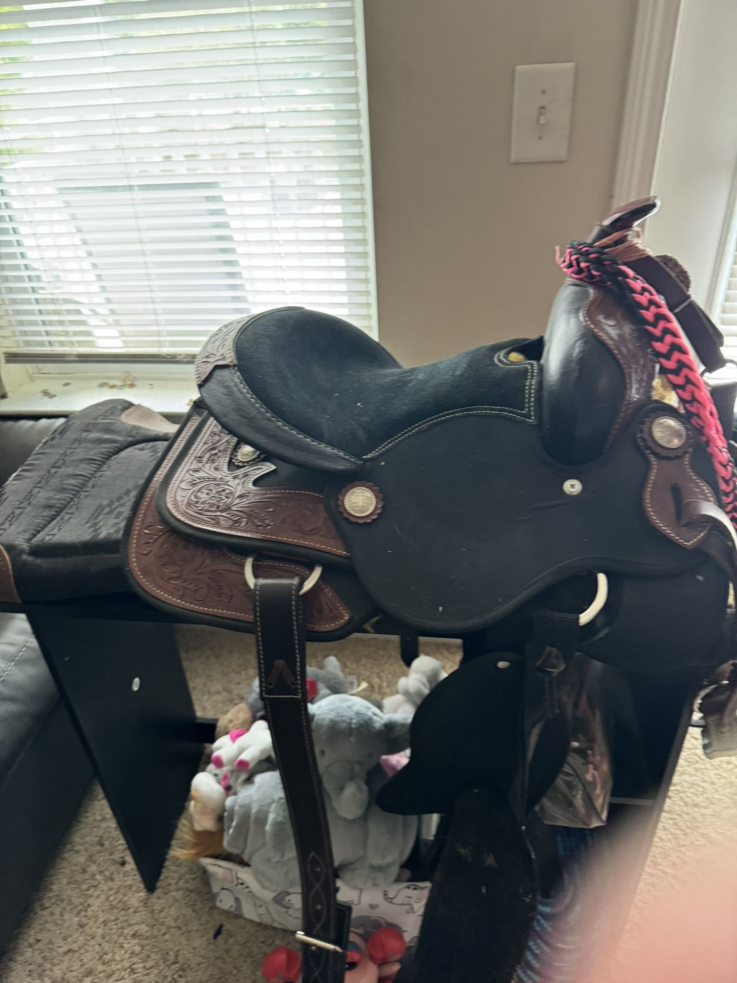 Horse Tack
