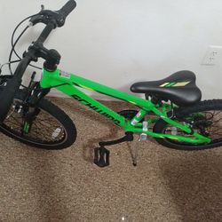 Schwinn Ranger 20" Kids Mountain Bike

