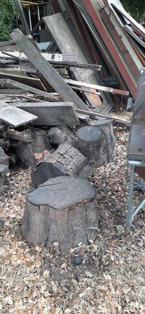 Firewood Tree Stump Seats All Free