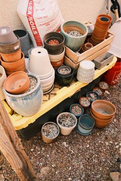 For everything! Mixed Lot of Assorted Plant Pots