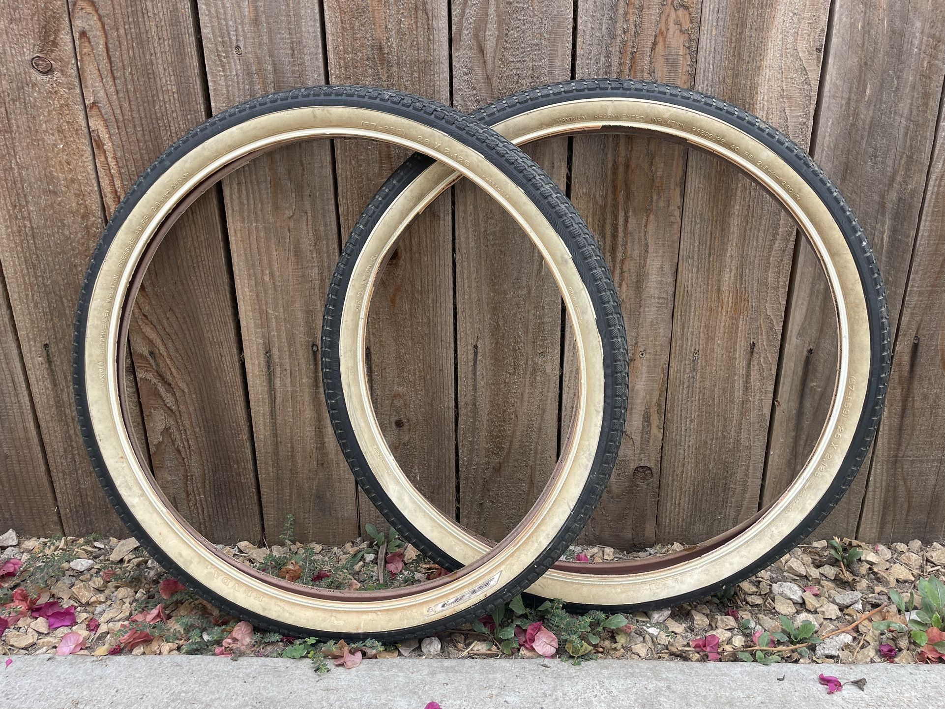 Beach Cruiser Tires And Seat