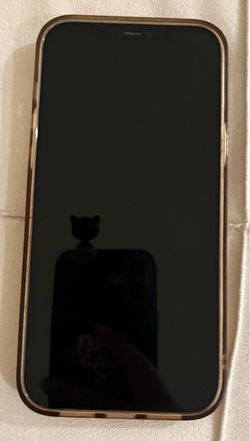 iPhone 12 Pro-Max , No issues $400