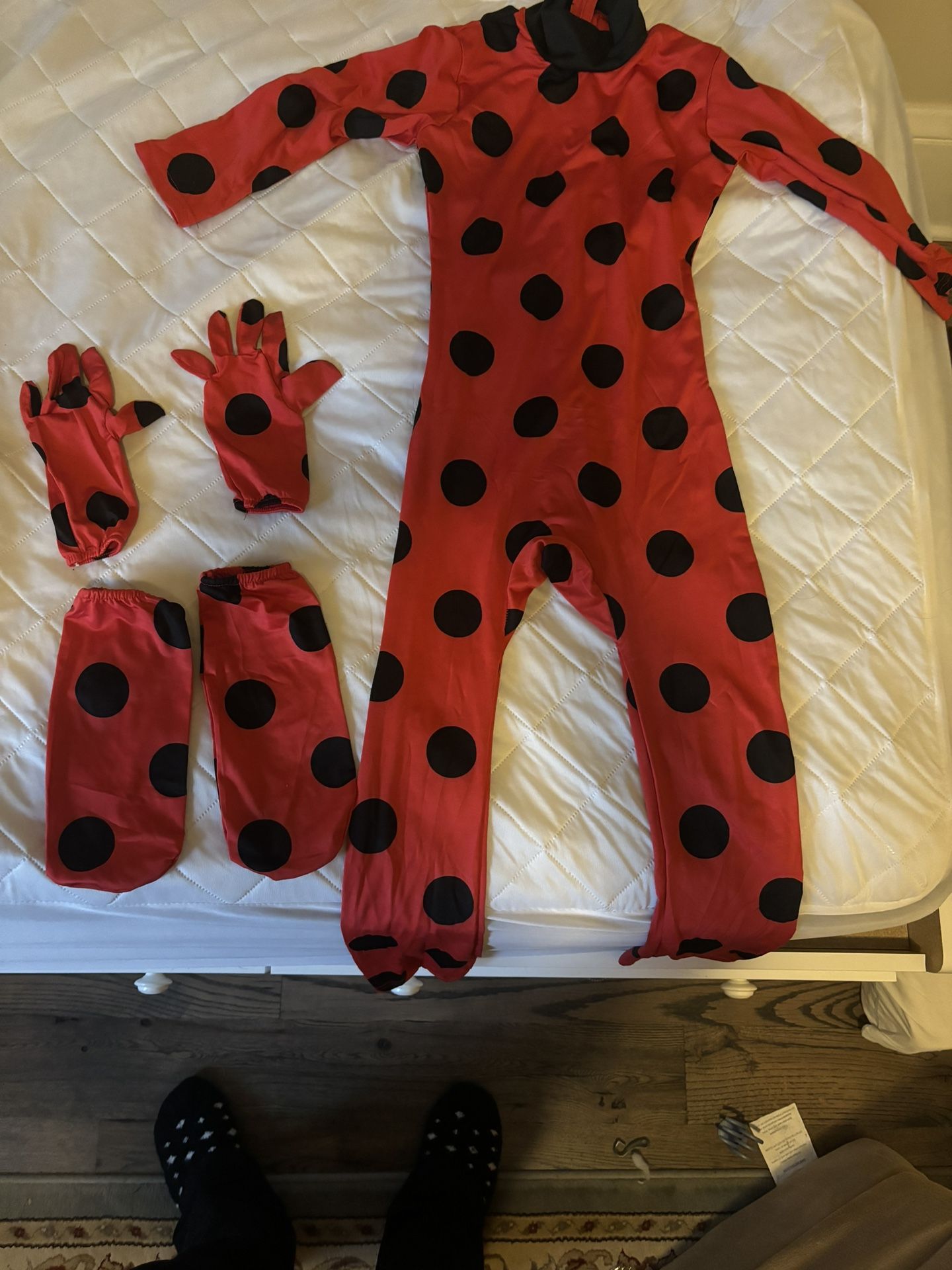 Ladybug Costume From Miraculous: Tales of Ladybug & Cat Noir
