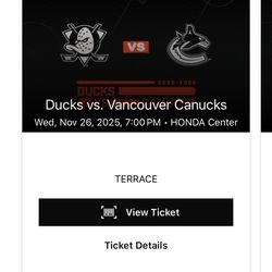 Ducks vs Canucks