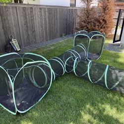 Cat Tunnel 