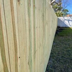 fences 