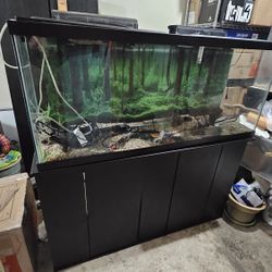 55 Gal Glass Fish Tank W/stand