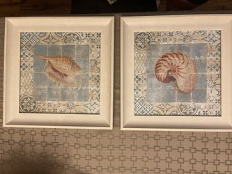 Sea Shell 🐚 Art