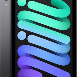 2021 Apple iPad Mini Space Gray