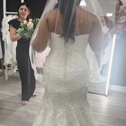 Maggie Sottero Woman’s Dress 