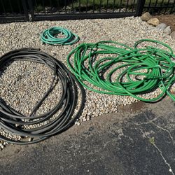 Hoses