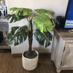 Plant Artificial 