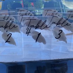 Wedding Signs (Table Numbers, Gifts, Refreshments) SEE DESCRIPTION 