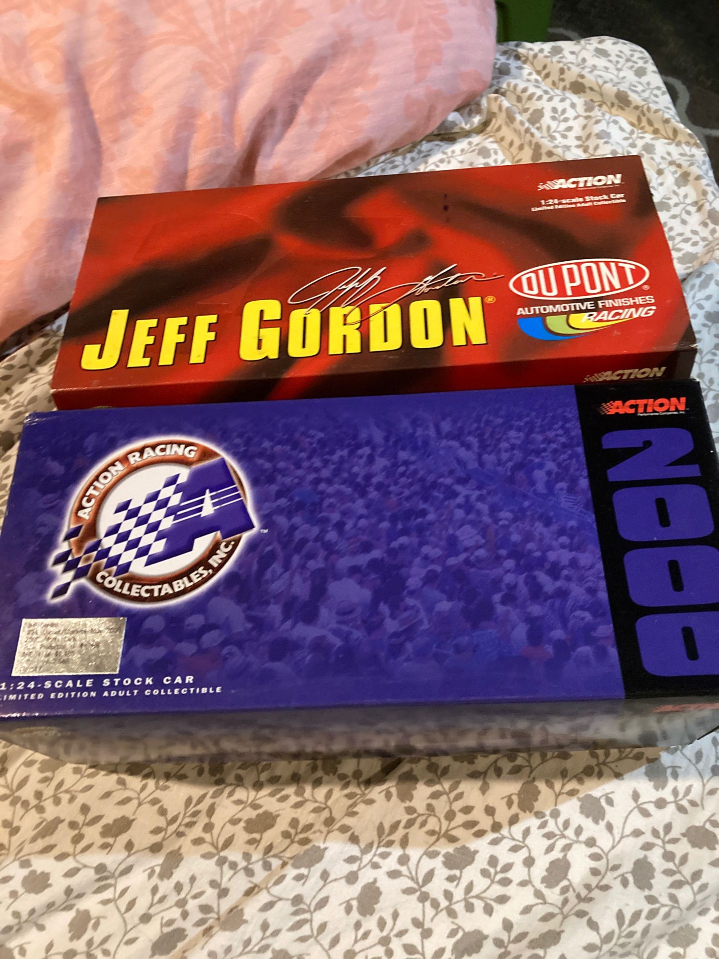 Jeff Gordon rainbow warrior