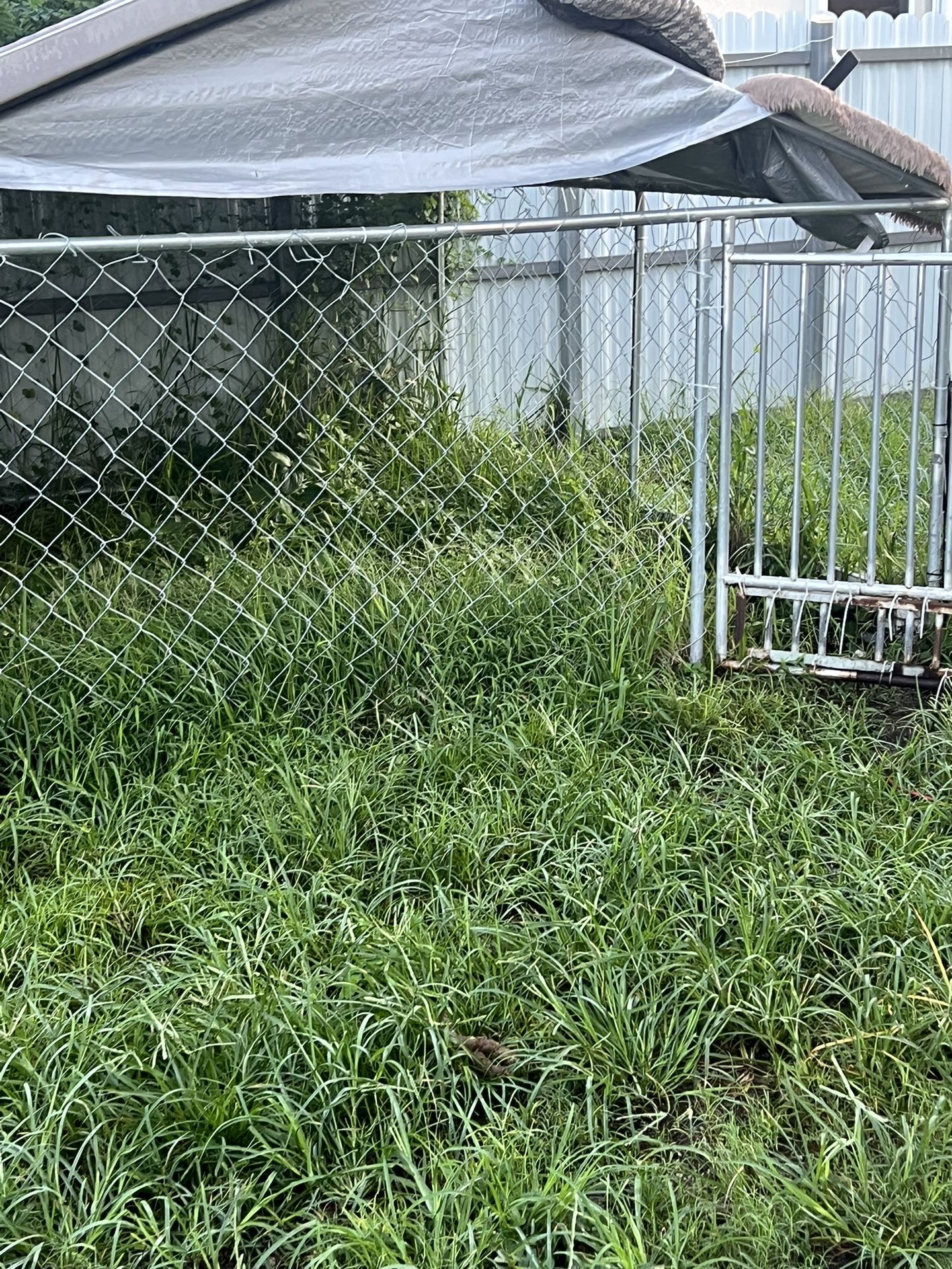 Dog kennel