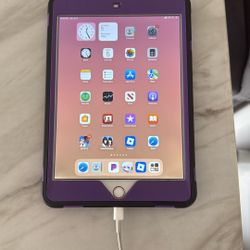 iPad Mini 5th Gen 