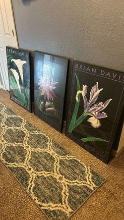 Brian Davis Framed Pictures Set
