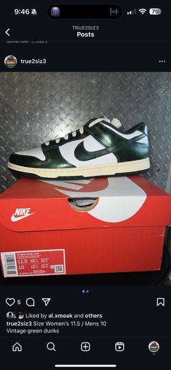 W Nike Dunk Low Size 11.5 