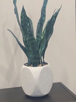 25" Modern Faux Snake Plant In the White Geometric Ceramic  Pot