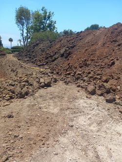 FREE DIRT DELIVERED