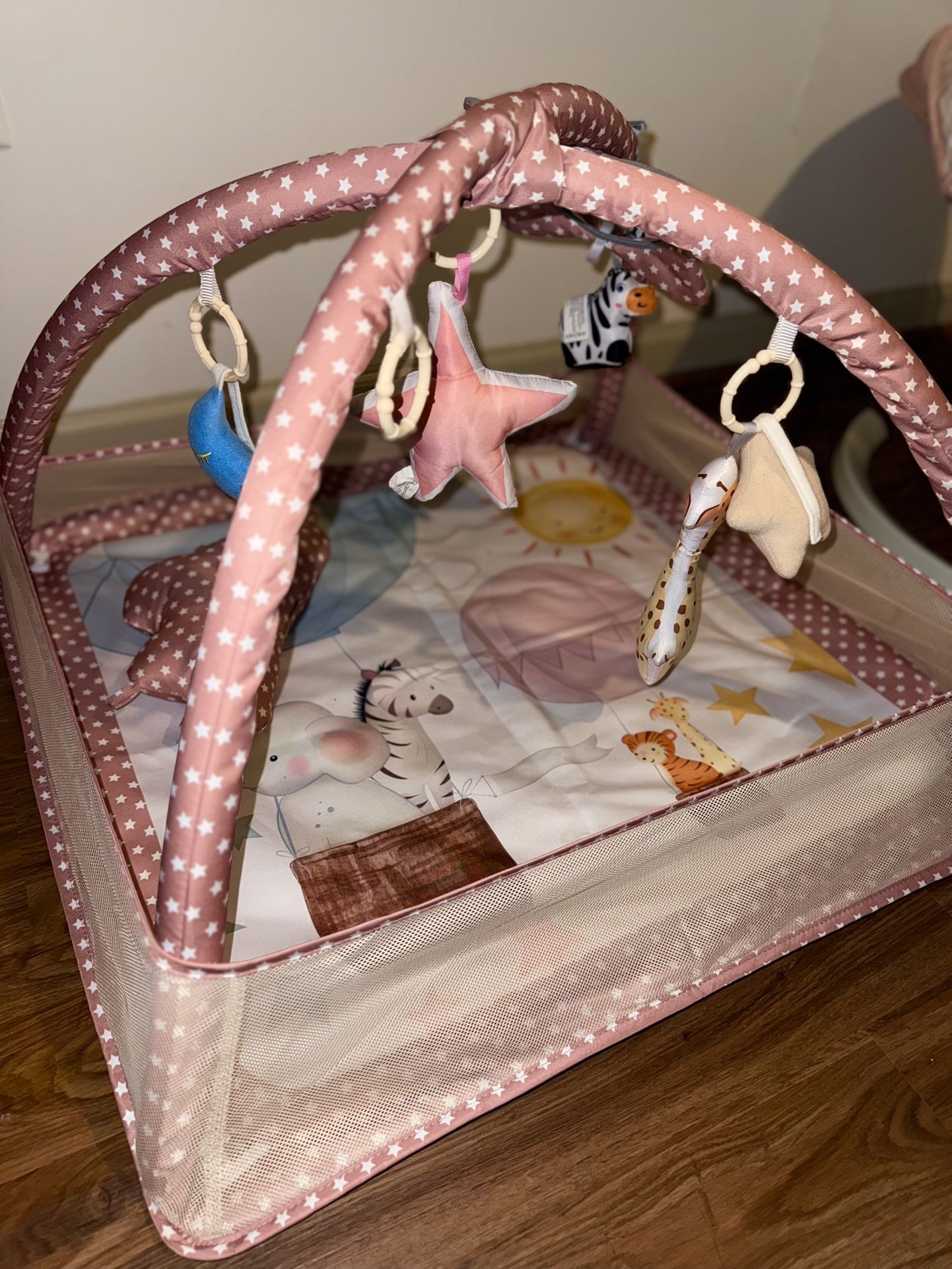 Play Gym with toys attached