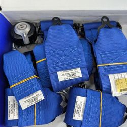 Sparco 6 Point Racing Harness In blue. Brand New. 2 Available.
