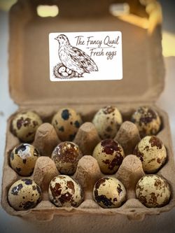 fresh Quail eggs