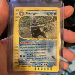 Feraligatr Expedition 