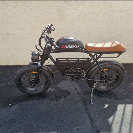 Electric Bike Dual Motor