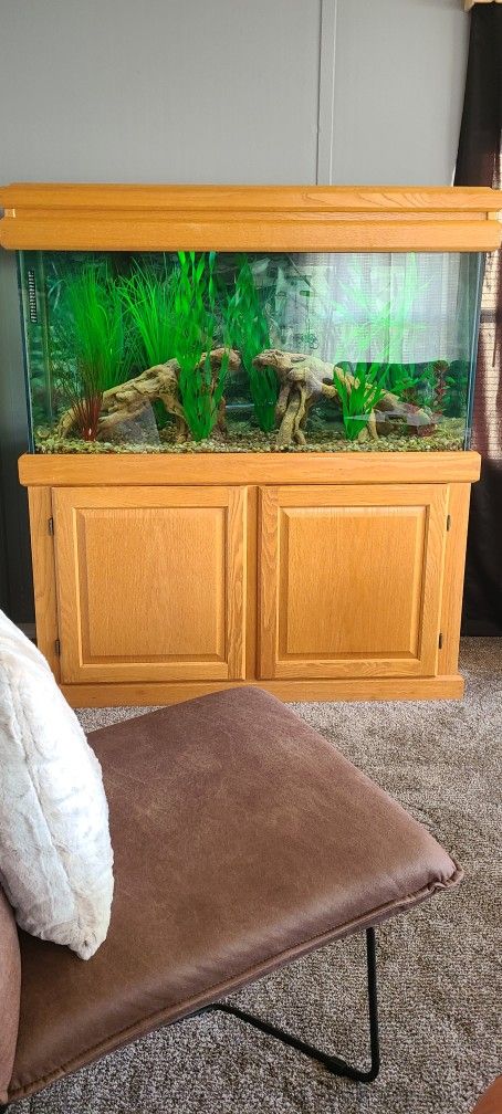 90 Gallon Fish Tank Set Up