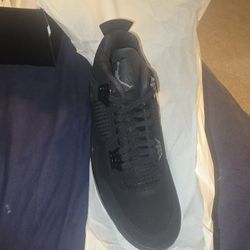 Brand New DS Black Cat 4s 2025 Size 14