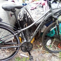Trek Neko 3
