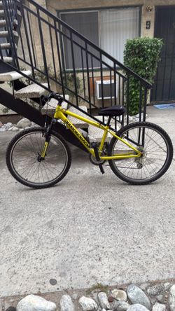 Mountain bike as